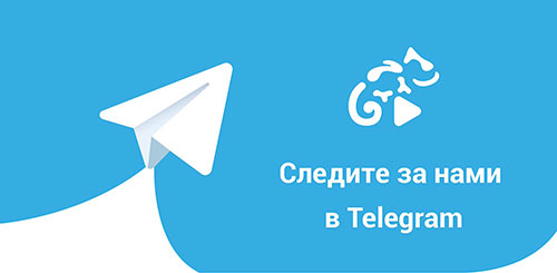 канал в telegram 02.spravo4ki-a.ru